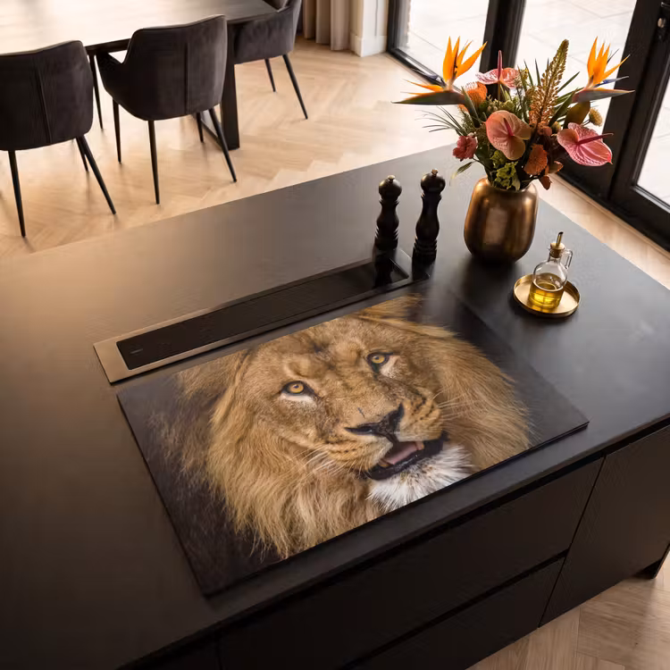 Inductie beschermer - Gezicht van de Serengeti — 5