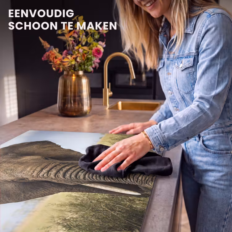 Inductie beschermer - Gigant van de Savanne — 6