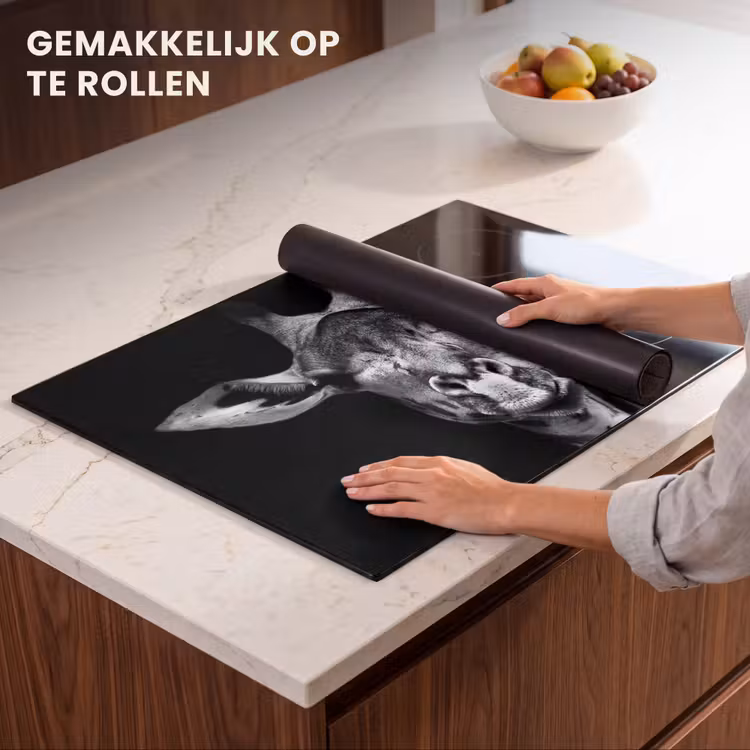 Inductie beschermer - Portret van een Stille Waarnemer — 7