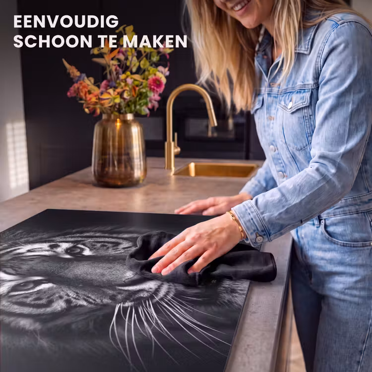Inductie beschermer - Essentie van Intensiteit — 6