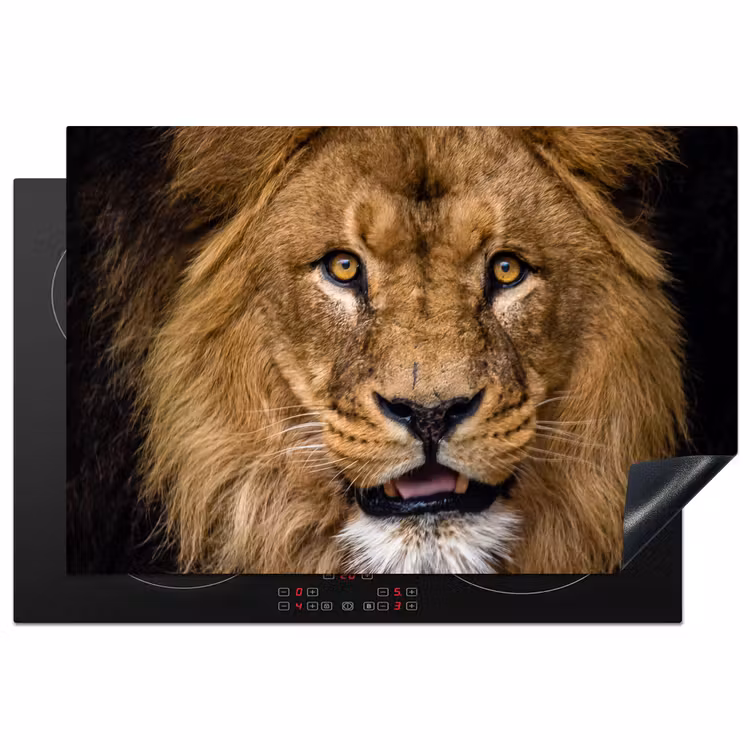 Inductie beschermer - Gezicht van de Serengeti — 1