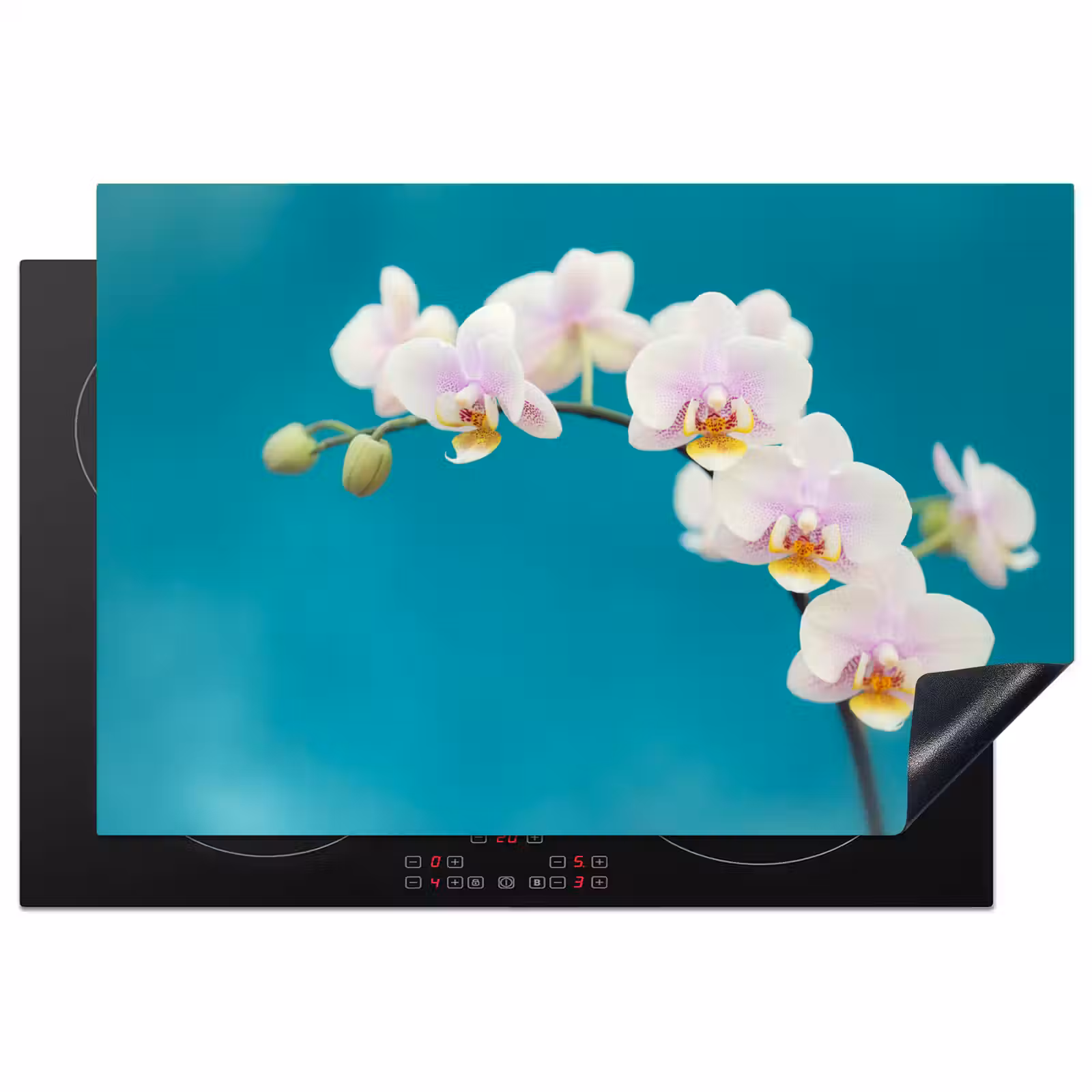 Inductie beschermer - Aqua Bliss Orchideeën — 1