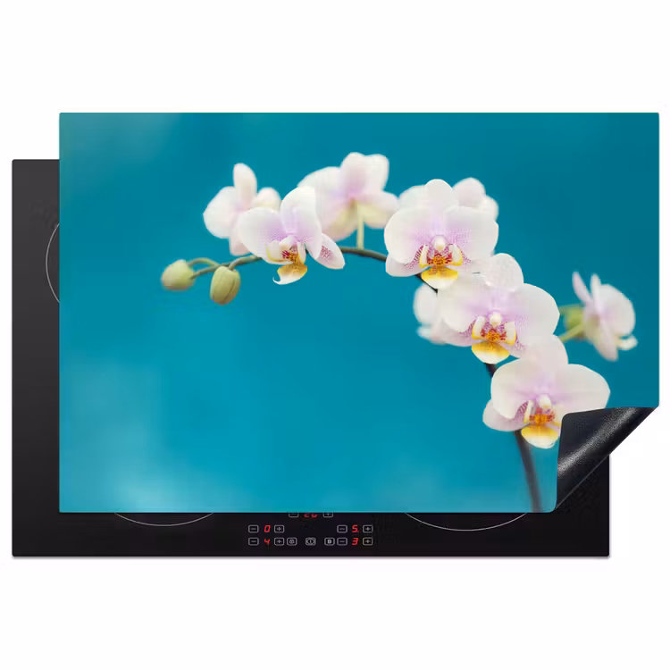 Inductie beschermer - Aqua Bliss Orchideeën — 1