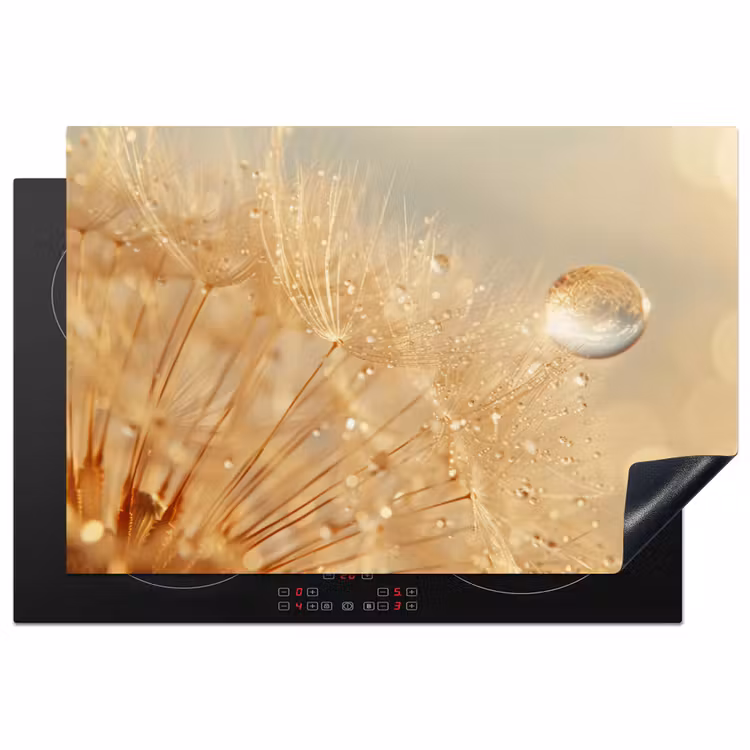 Inductie beschermer - Paardenbloem - Water - Natuur - Planten - Modern — 1