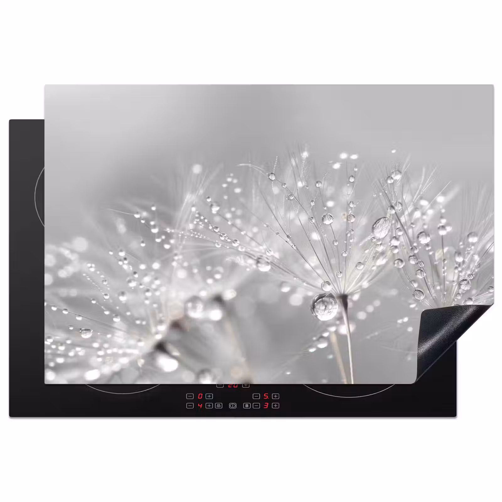 Inductie beschermer - Paardenbloem - Waterdruppels - Stilleven - Modern — 1