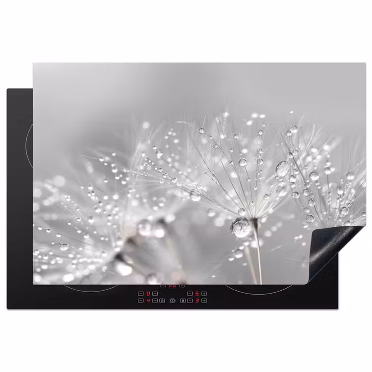 Inductie beschermer - Paardenbloem - Waterdruppels - Stilleven - Modern — 1