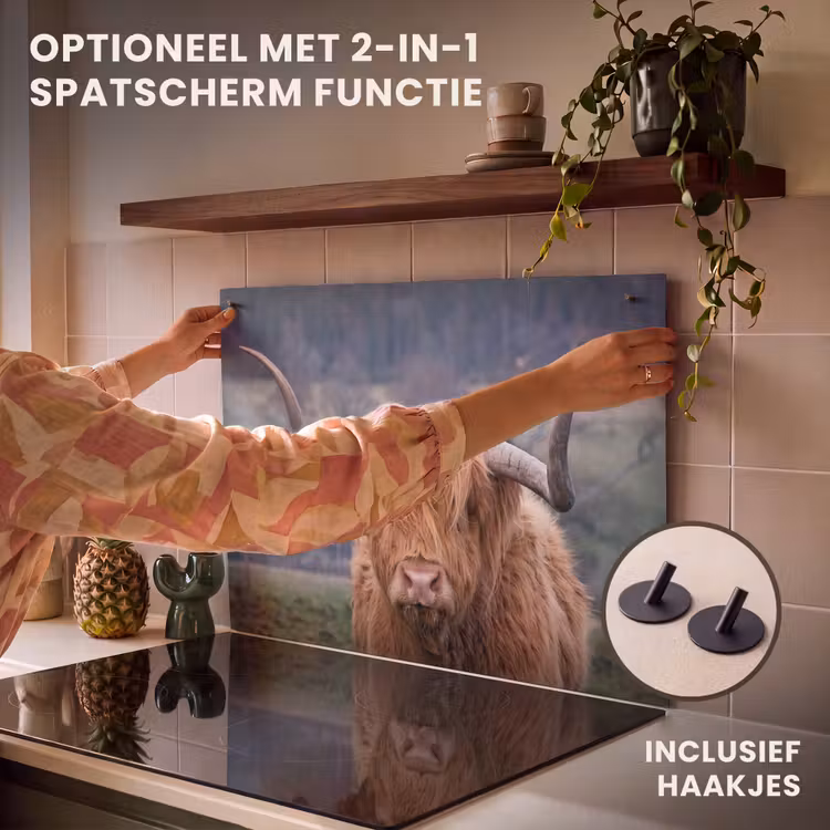 Inductie beschermer - Heerser van het Hoogland — 10