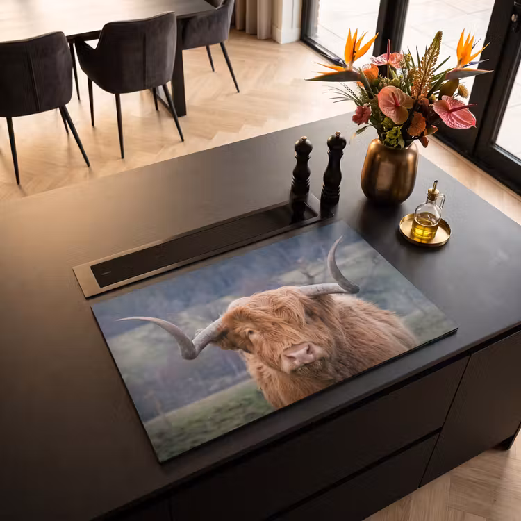 Inductie beschermer - Heerser van het Hoogland — 5