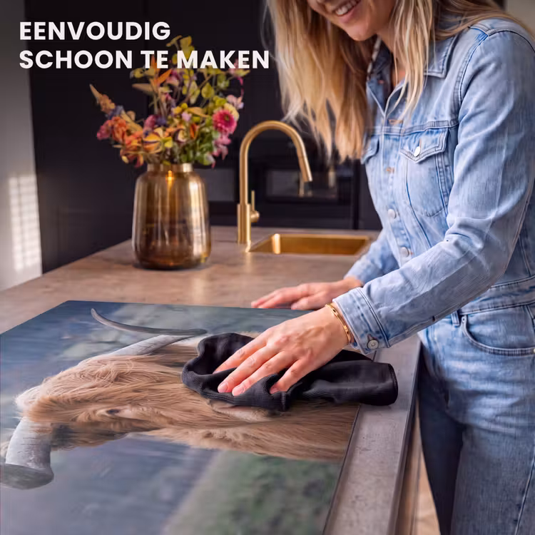 Inductie beschermer - Heerser van het Hoogland — 6