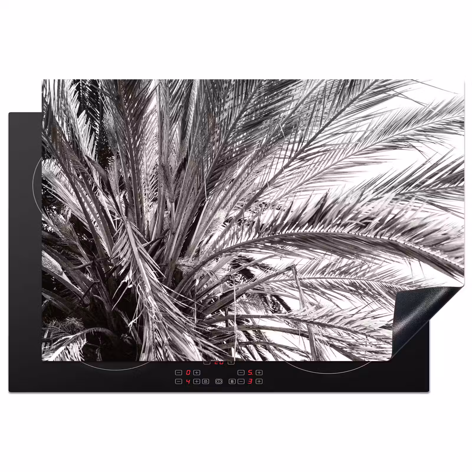 Inductie beschermer - Monochrome Palmendak — 1