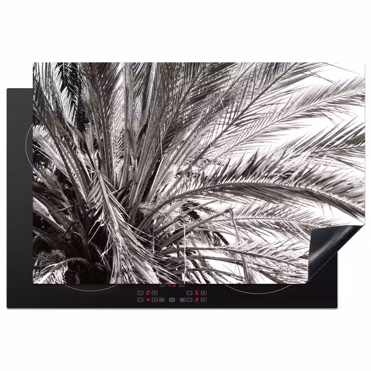 Inductie beschermer - Monochrome Palmendak — 1