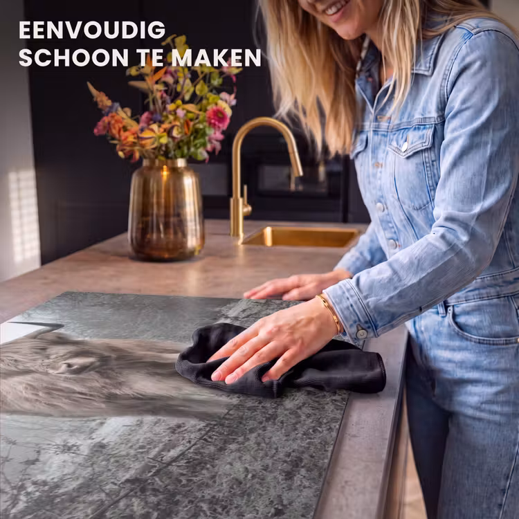 Inductie beschermer - Heerser van de Mist — 6