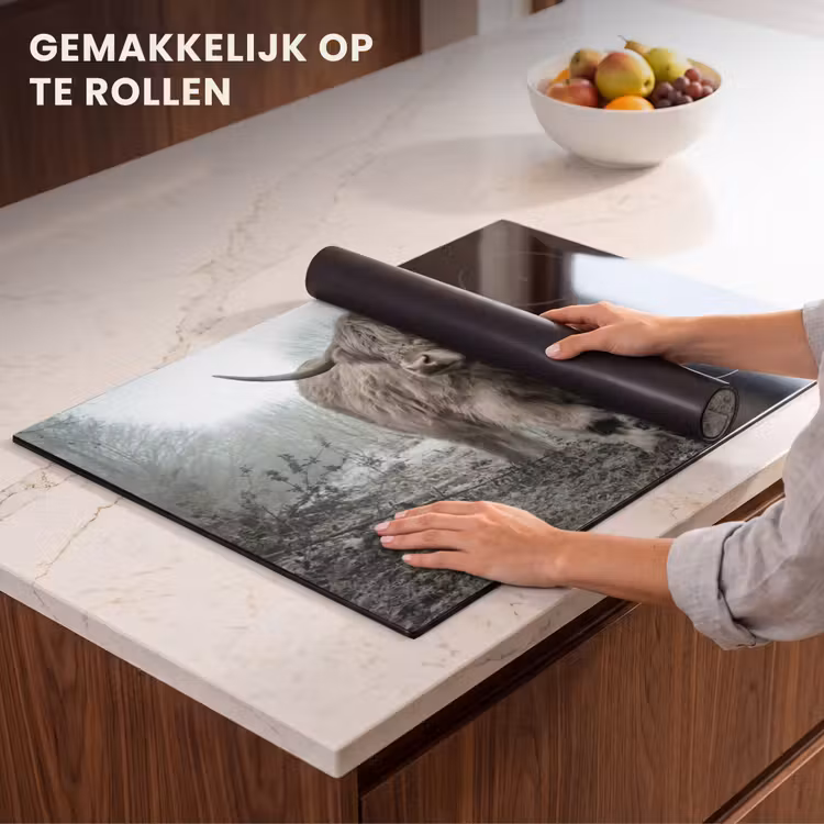 Inductie beschermer - Heerser van de Mist — 7