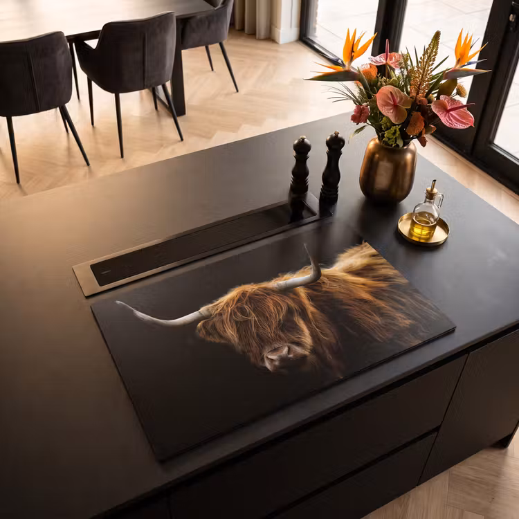 Inductie beschermer - Schaduw en Licht — 5