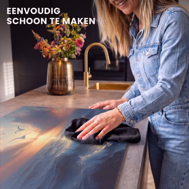 Inductie beschermer - Meeuwen - Zonsondergang - Zee - Wolken — 6