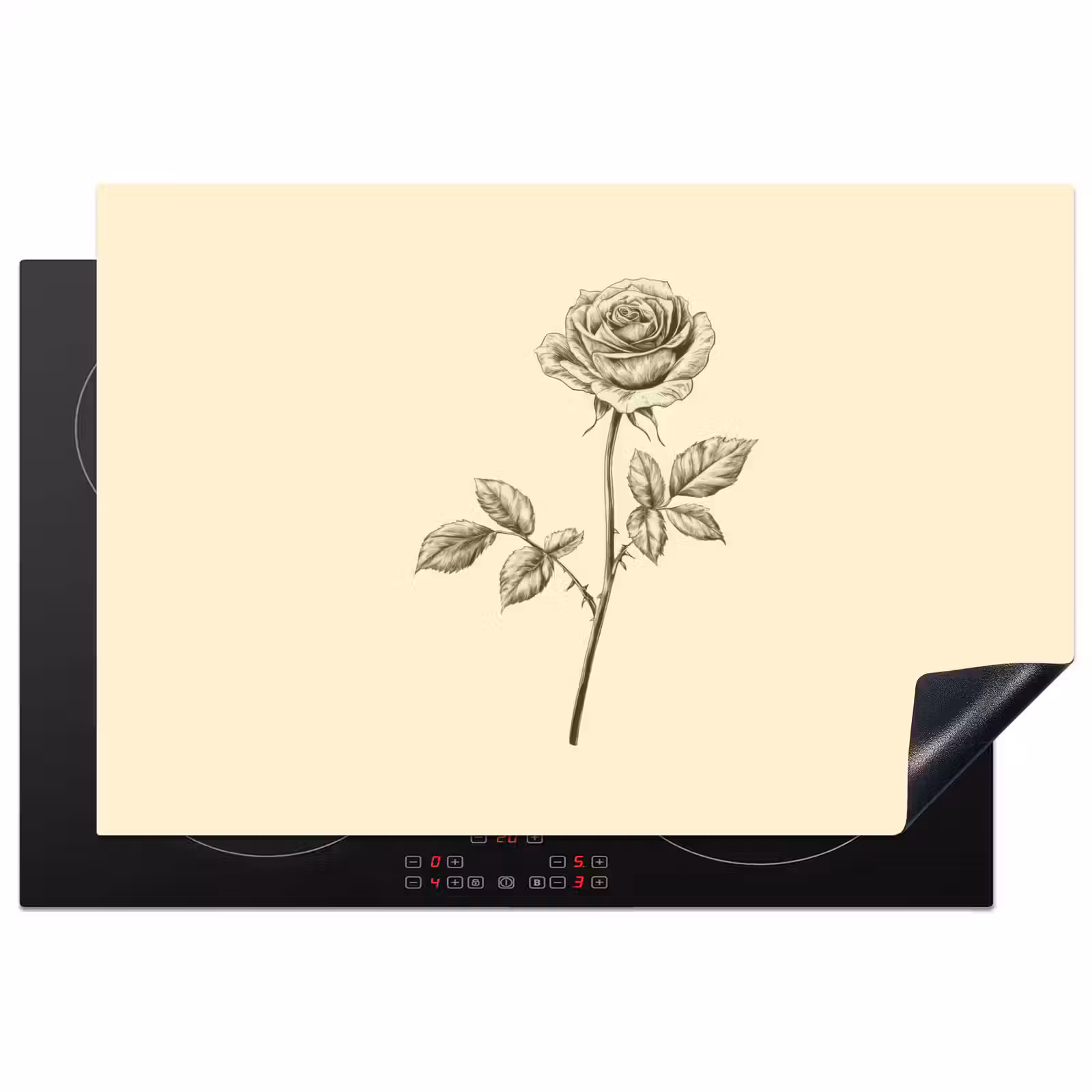 Inductie beschermer - Illustratie - Zwart - Roos — 1