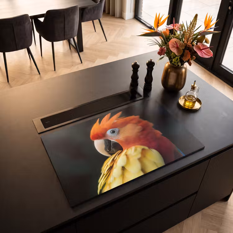 Inductie beschermer - Close-up - Papegaai - Veren - Oranje — 5