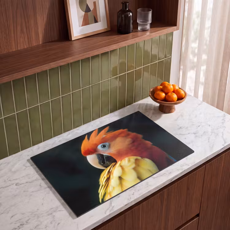 Inductie beschermer - Close-up - Papegaai - Veren - Oranje — 8
