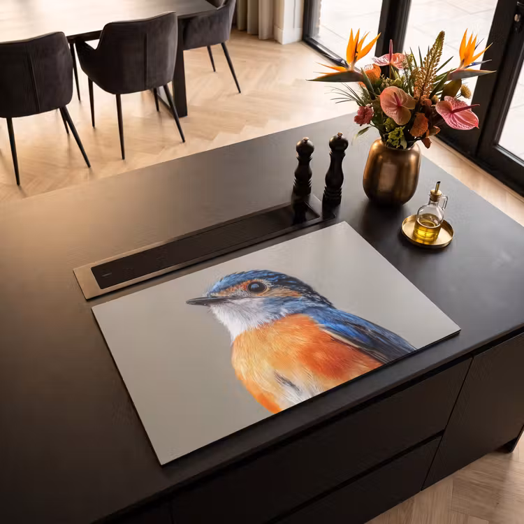 Inductie beschermer - Kleurrijk - Vogeltje - Veren - Blauw — 5