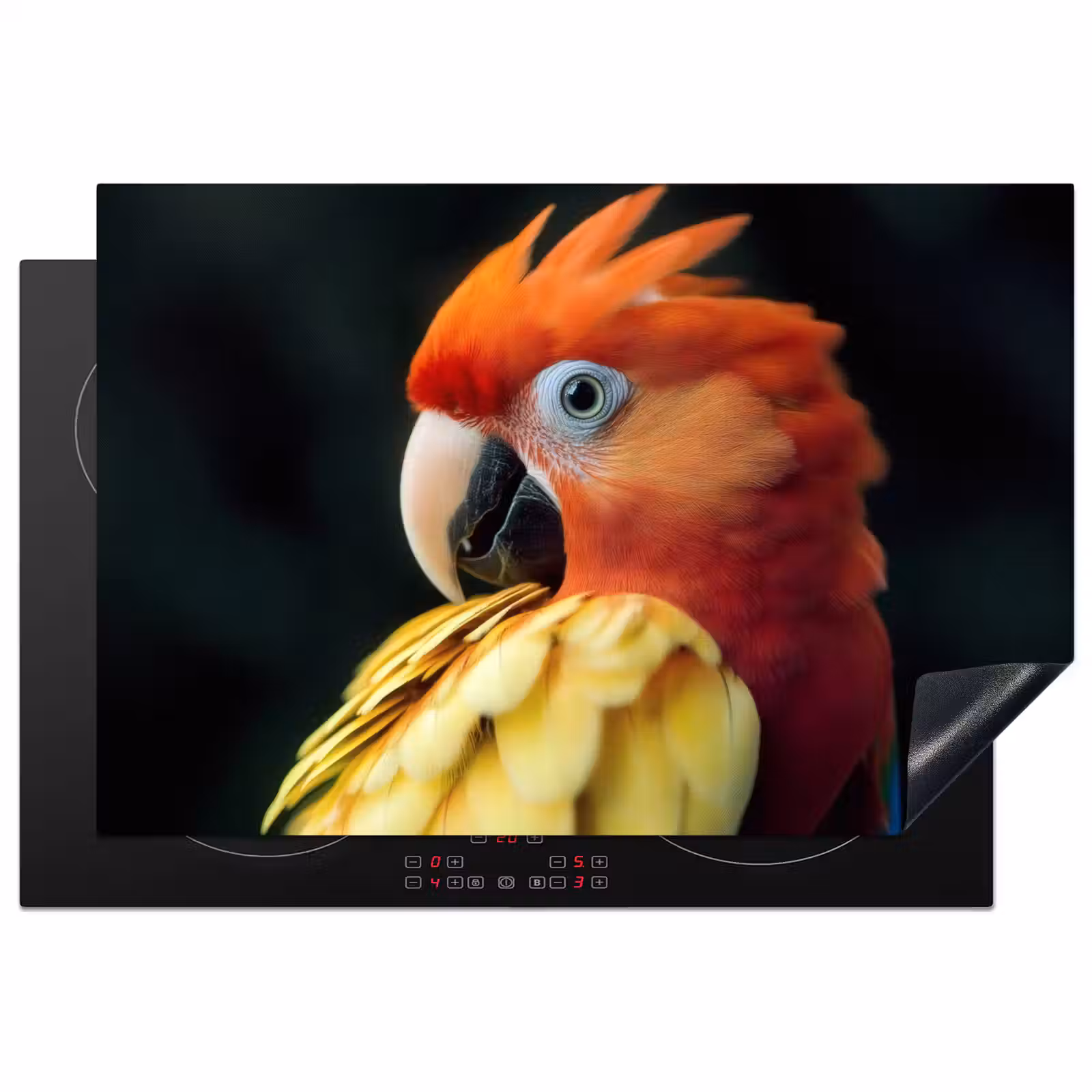 Inductie beschermer - Close-up - Papegaai - Veren - Oranje — 1