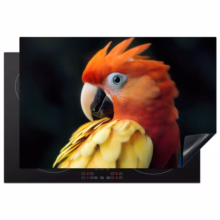 Inductie beschermer - Close-up - Papegaai - Veren - Oranje — 1