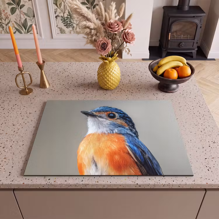 Inductie beschermer - Kleurrijk - Vogeltje - Veren - Blauw — 2