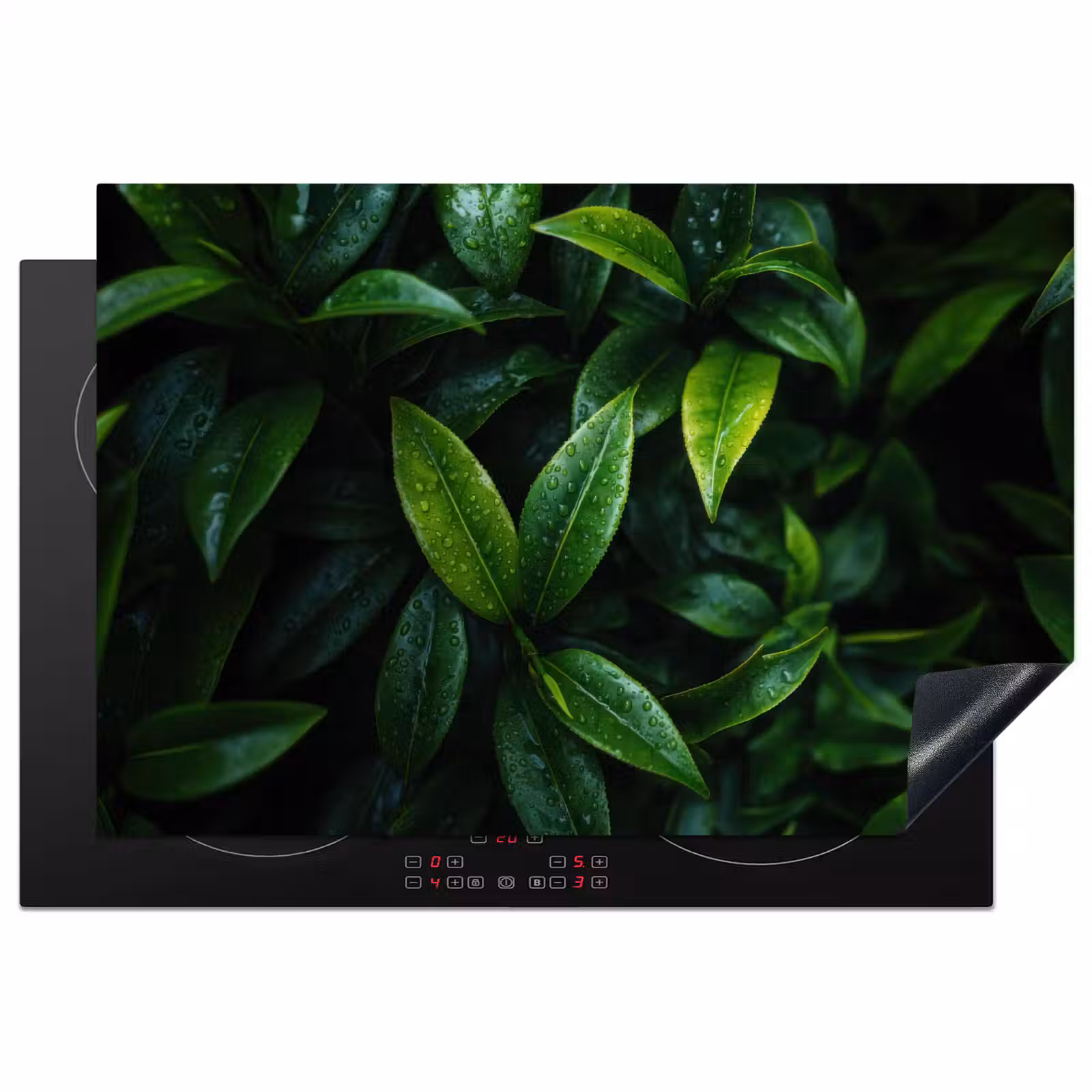 Inductie beschermer - Bladeren - Regendruppels - Licht - Groen — 1