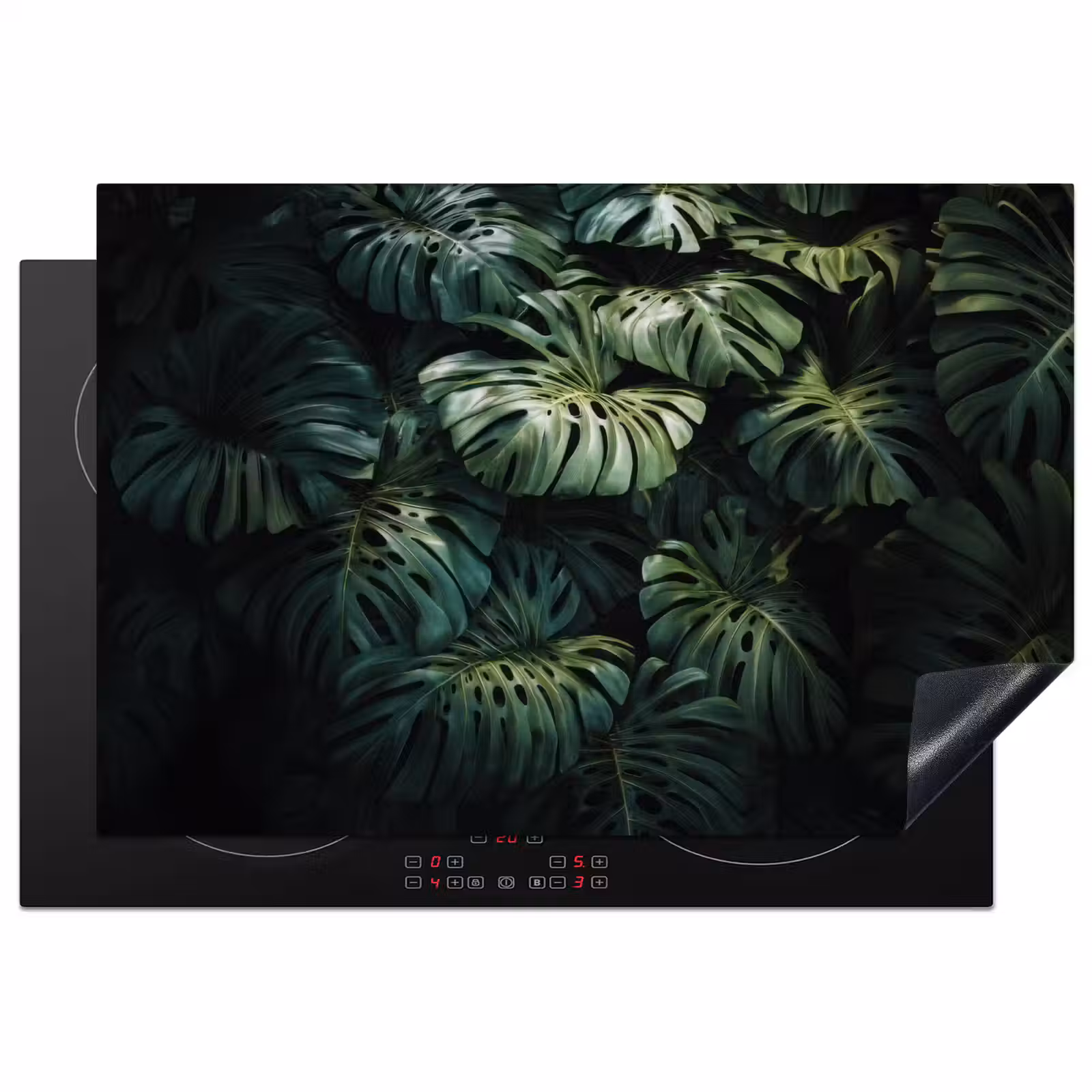 Inductie beschermer - Plant - Monstera - Lichtinval — 1