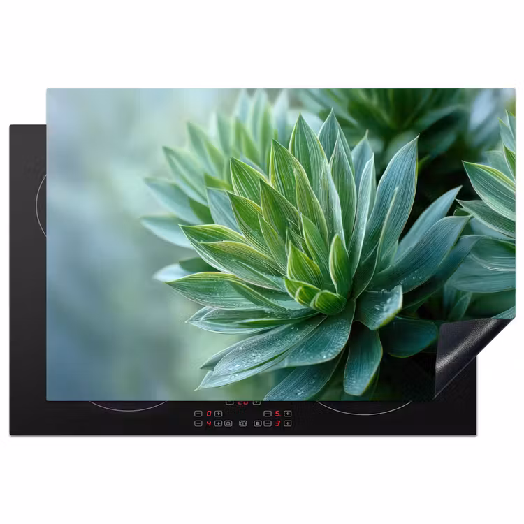Inductie beschermer - Blad - Plant - Groen - Textuur — 1