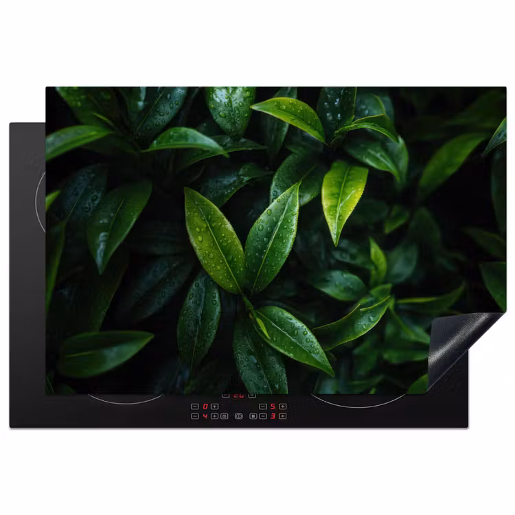 Inductie beschermer - Bladeren - Regendruppels - Licht - Groen — 1