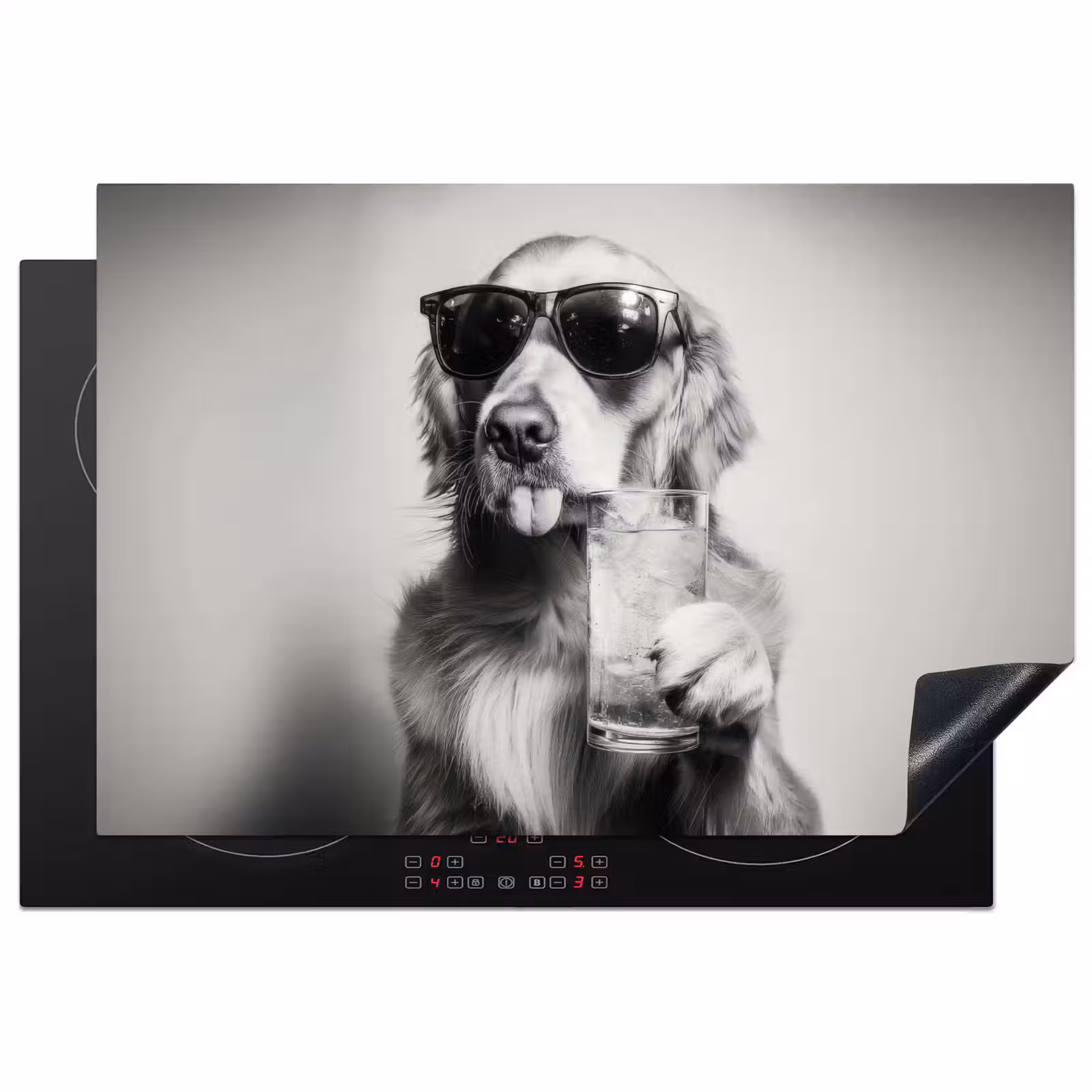Inductie beschermer - Golden retriever - Hond - Zonnebril - Gkas — 1