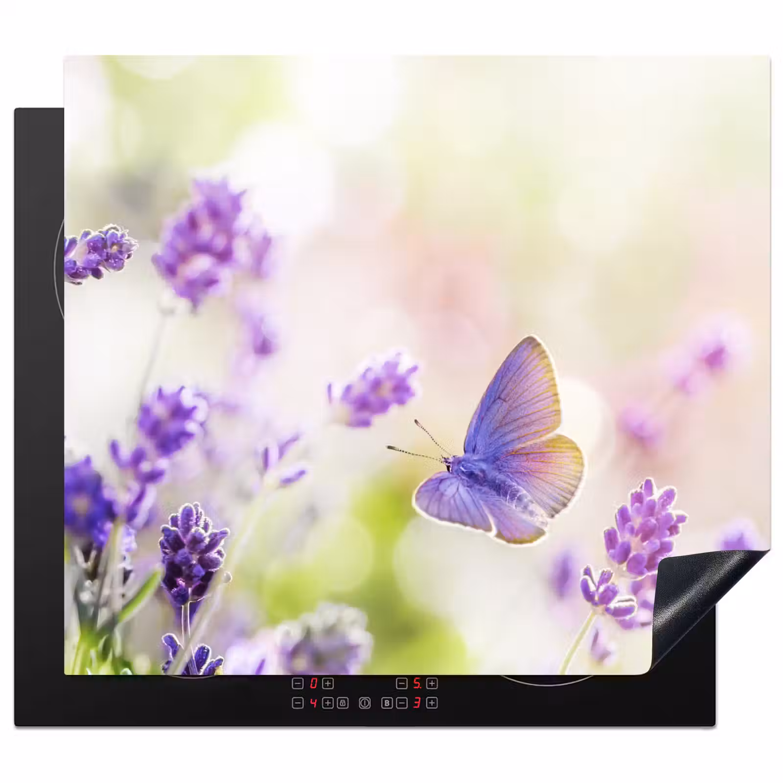Inductie beschermer - Lavendel - Vlinder - Bloemen — 1