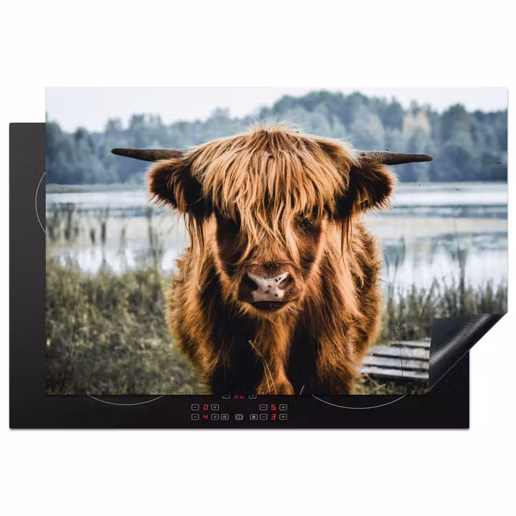 Inductie beschermer - Koeien - Schotse hooglander - Bruin - Natuur