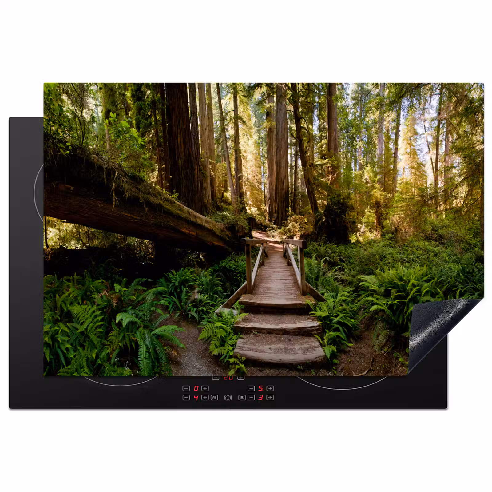 Inductie beschermer - Jungle - Natuur - Trap - Bomen — 1