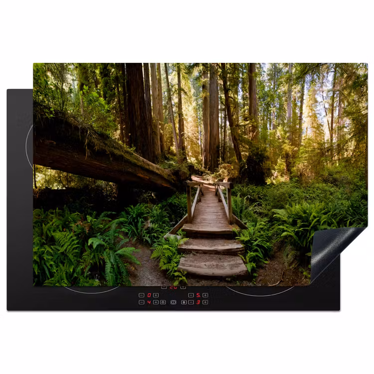 Inductie beschermer - Jungle - Natuur - Trap - Bomen — 1