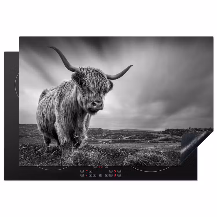 Inductie beschermer - Koeien - Schotse hooglander - Natuur - Dieren - Zwart wit