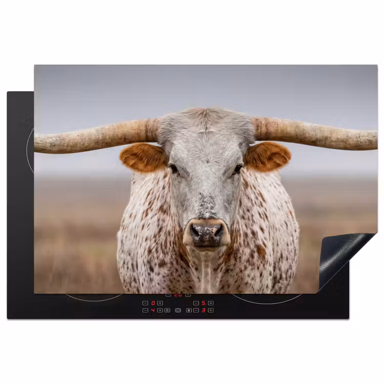 Inductie beschermer - Longhorn - Grasveld - Dier — 1