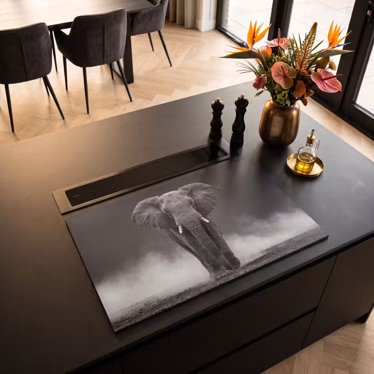 Inductie beschermer - Olifant - Zwart - Wit - Rook — 5
