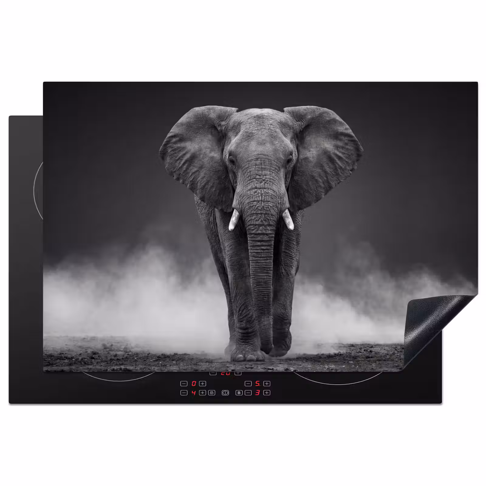 Inductie beschermer - Olifant - Zwart - Wit - Rook — 1