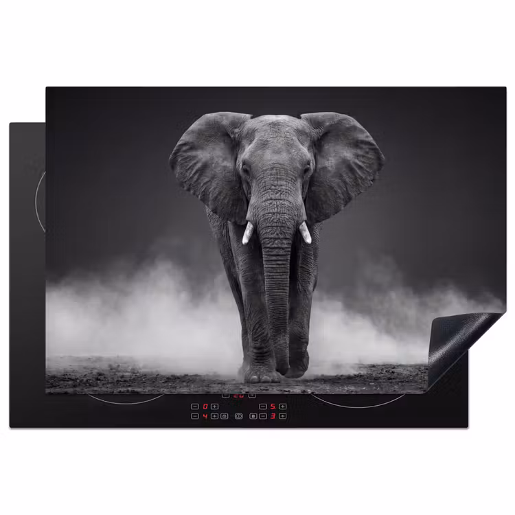 Inductie beschermer - Olifant - Zwart - Wit - Rook — 1