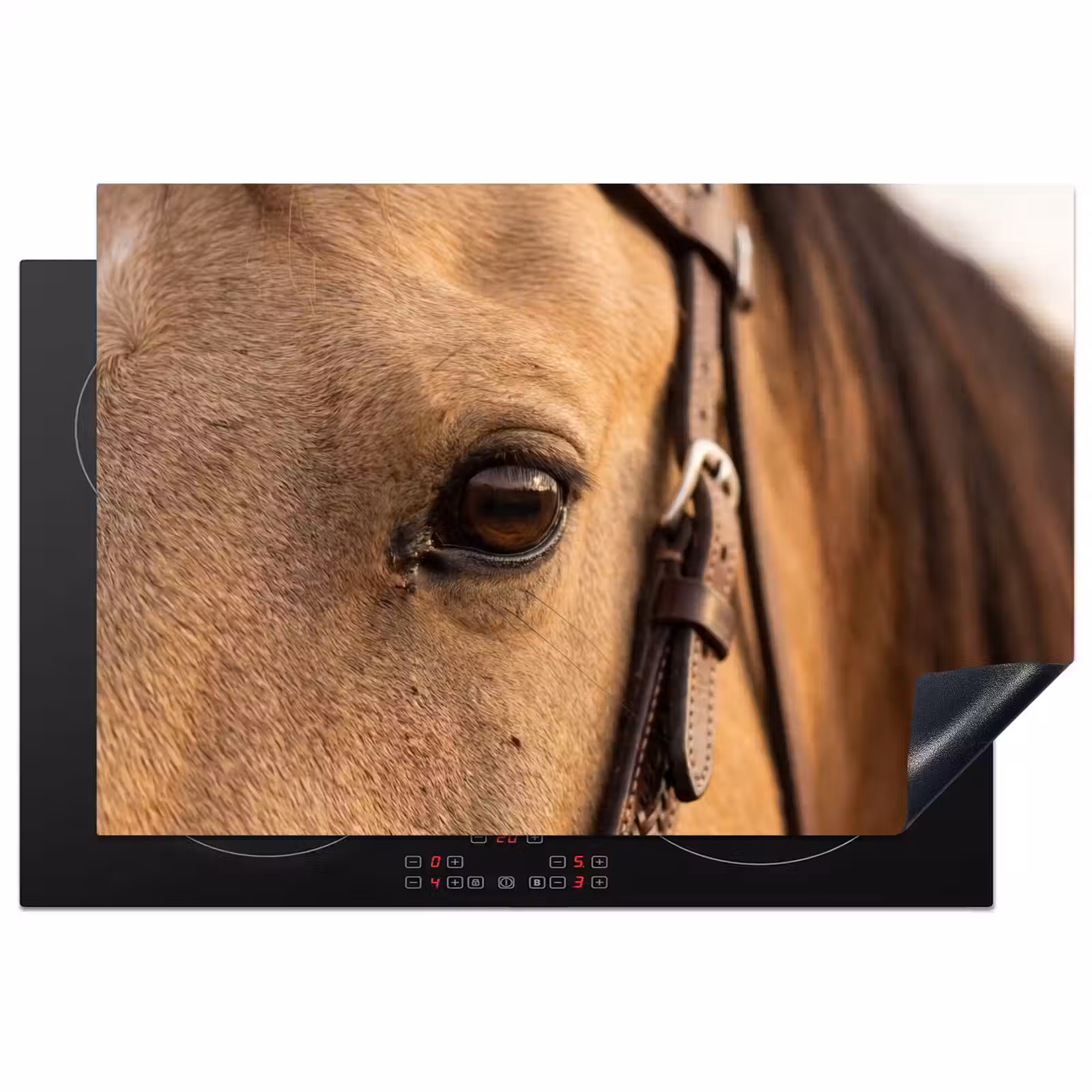 Inductie beschermer - Paard - Oog - Bruin — 1