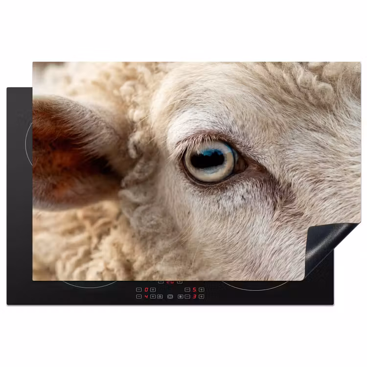 Inductie beschermer - Schaap - Oog - Wit — 1