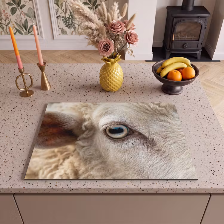 Inductie beschermer - Schaap - Oog - Wit — 2