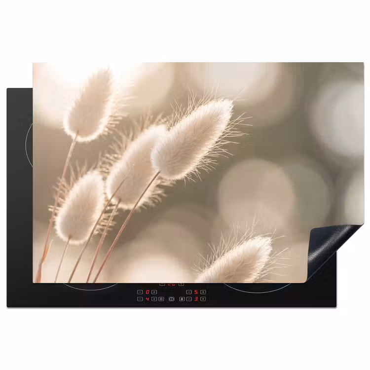 Inductie beschermer - Hazestaartgras - Wit - Zonlicht — 1