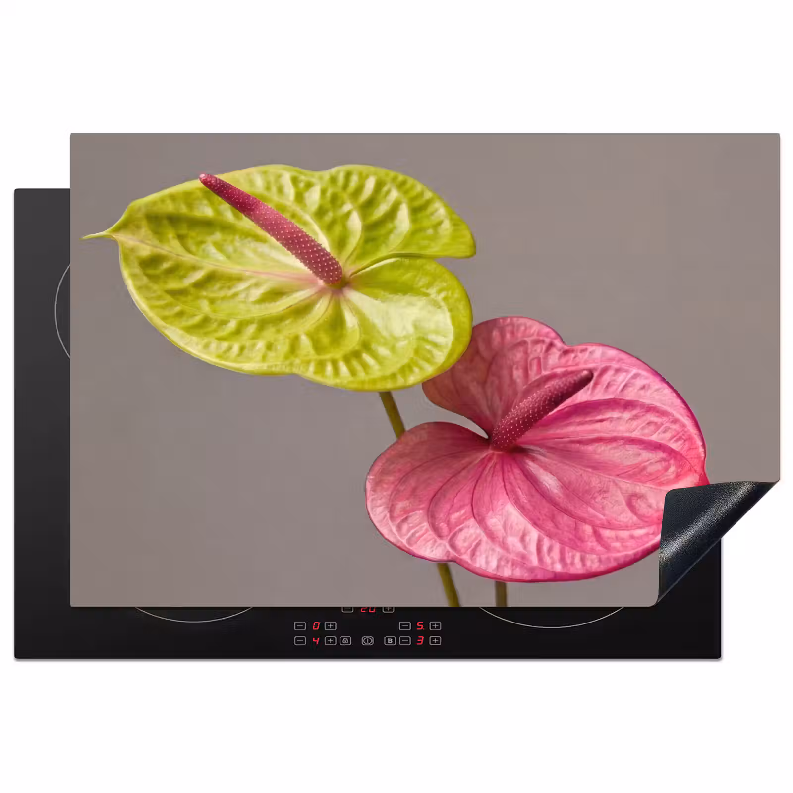Inductie beschermer - Planten - Anthurium - Groen - Roze — 1