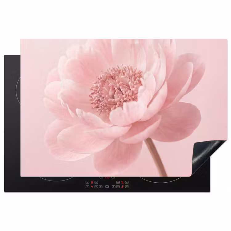Inductie beschermer - Bloem - Pioenroos - Roze — 1