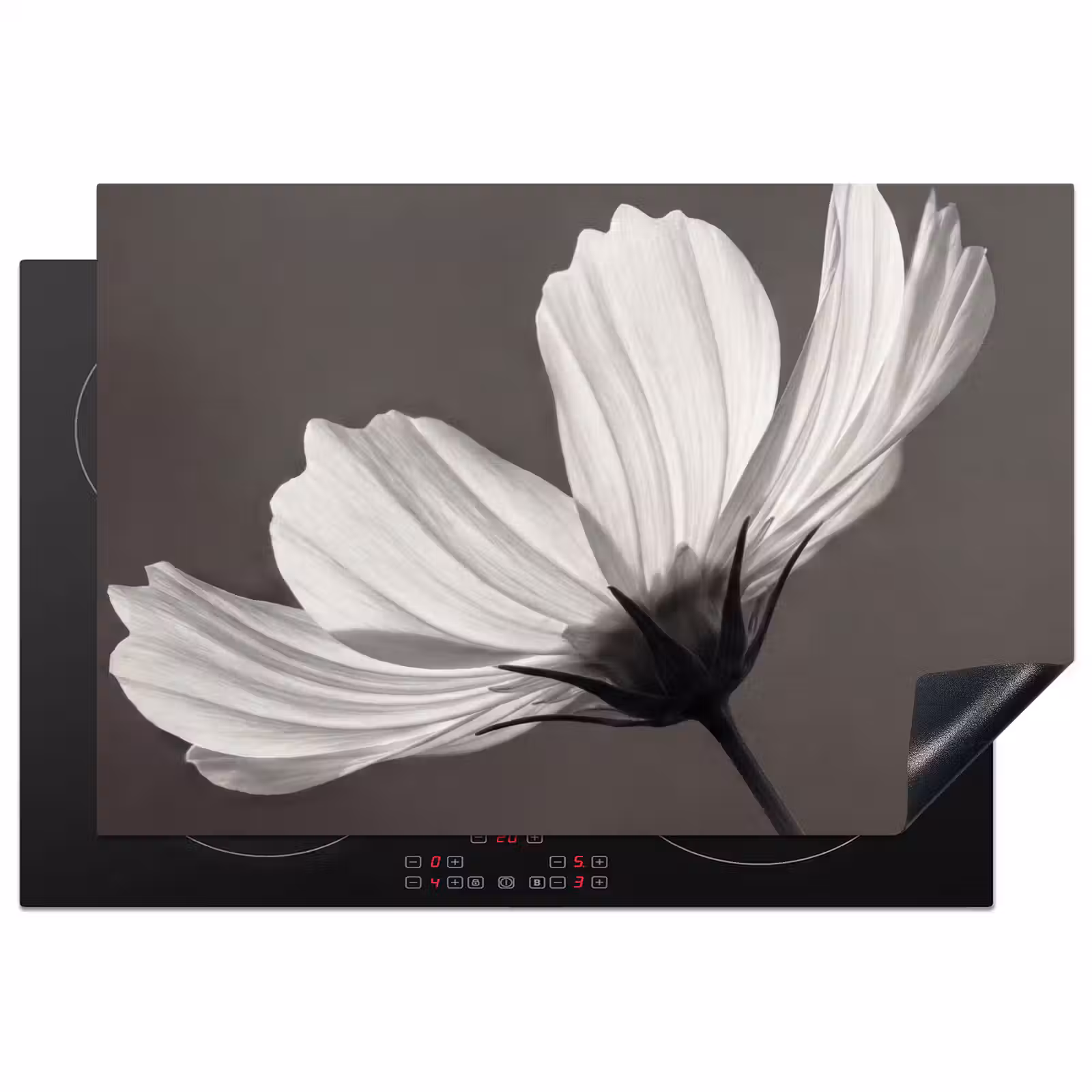Inductie beschermer - Bloem - Minimalistisch - Zwart - Wit — 1