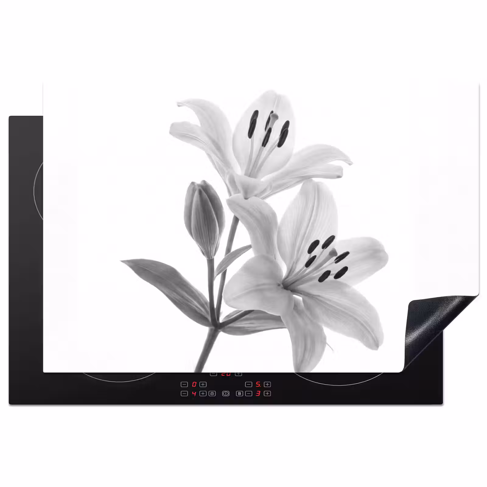 Inductie beschermer - Lelies - Elegant - Zwart - Wit — 1