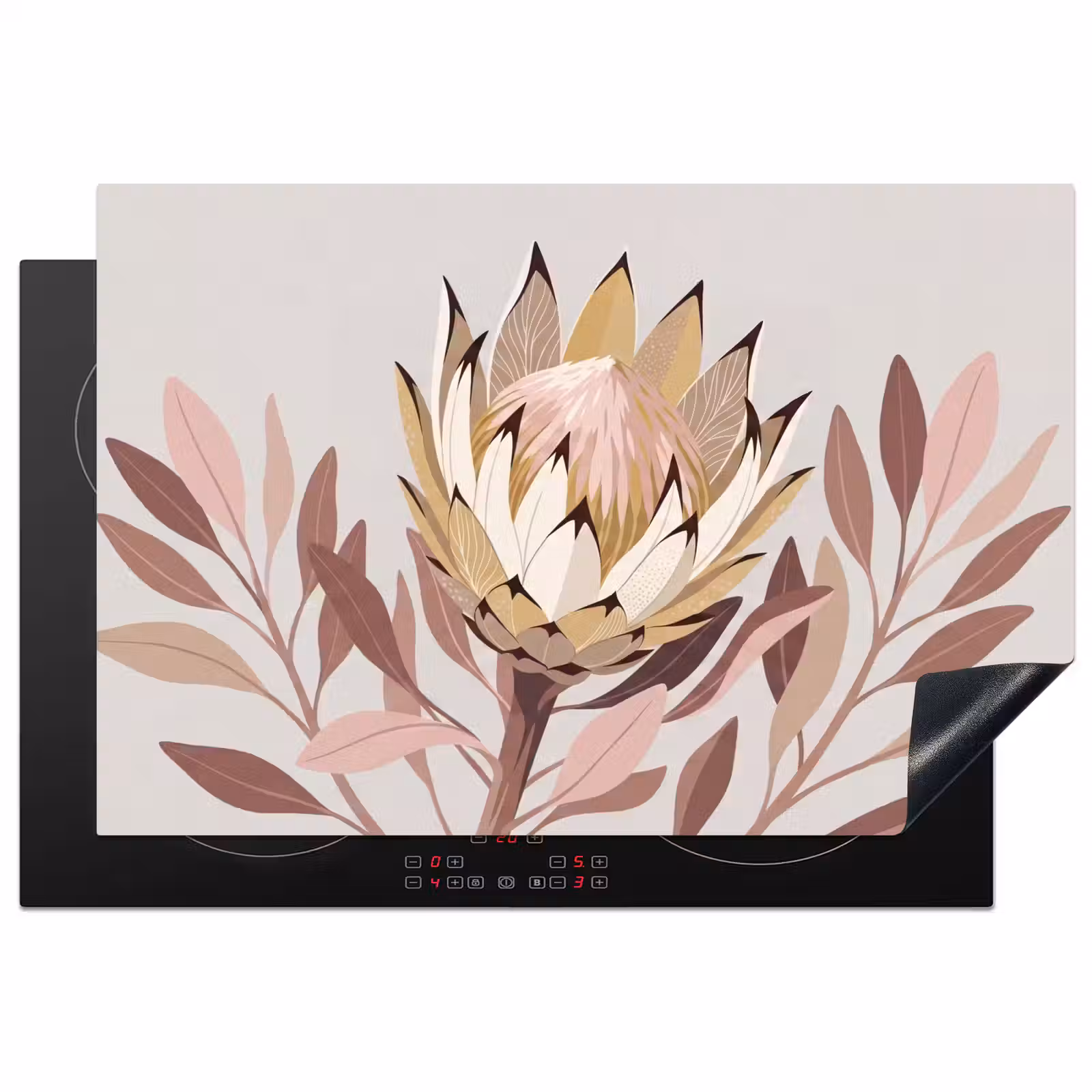 Inductie beschermer - Protea - Bloem - Botanisch - Beige — 1