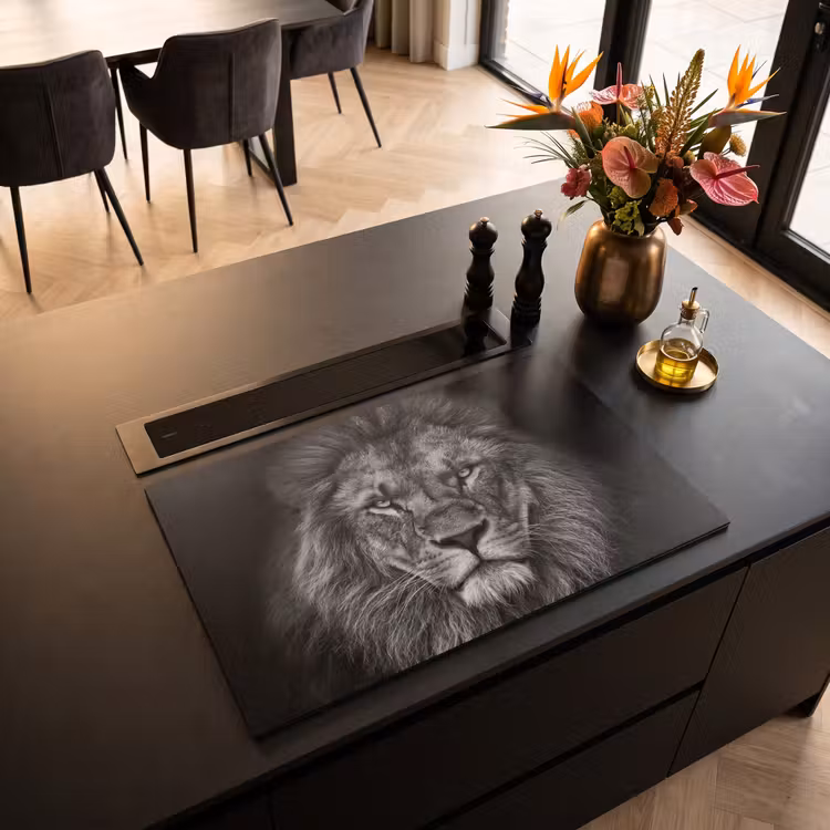 Inductie beschermer - Souvereiniteit in Zwart-Wit — 5